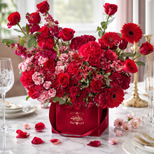 THE VALENTINA VELOUR