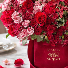THE VALENTINA VELOUR